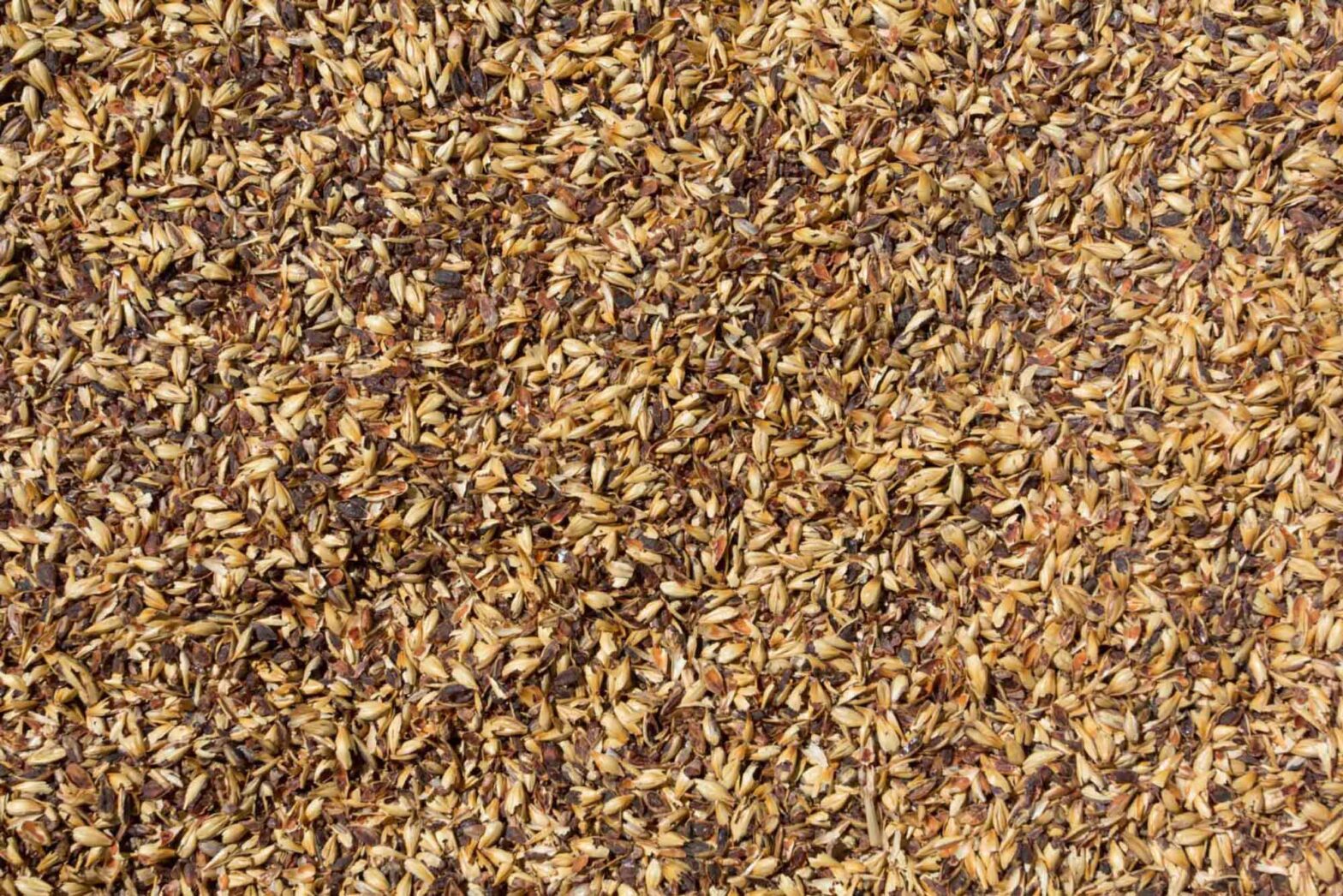 Whole grain to brew beer in Key West.